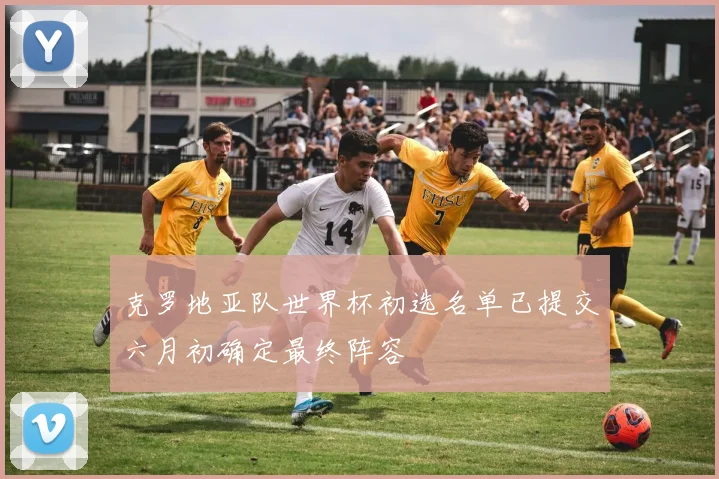 克罗地亚队世界杯初选名单已提交六月初确定最终阵容