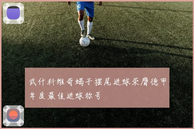 武什科维奇蝎子摆尾进球荣膺德甲年度最佳进球称号